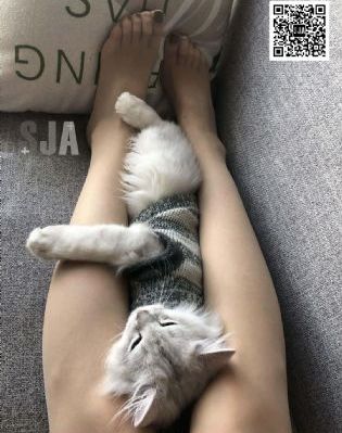 欧美老熟妇性生活_免费高清观看